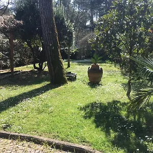  Apartment Old Town In The Green: Federico's Apartment. Italien